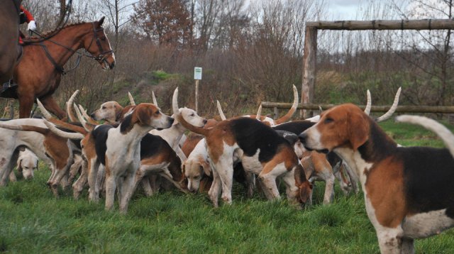 Slipjacht (zaterdag 14 december 2019)